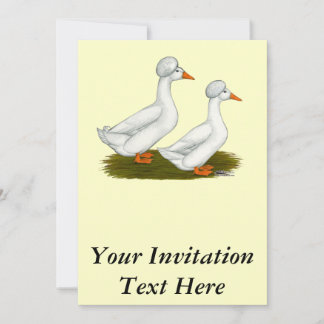 Ducks: White Crested Invitation