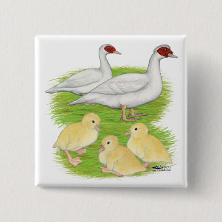 Ducks White Muscovy Family 15 Cm Square Badge