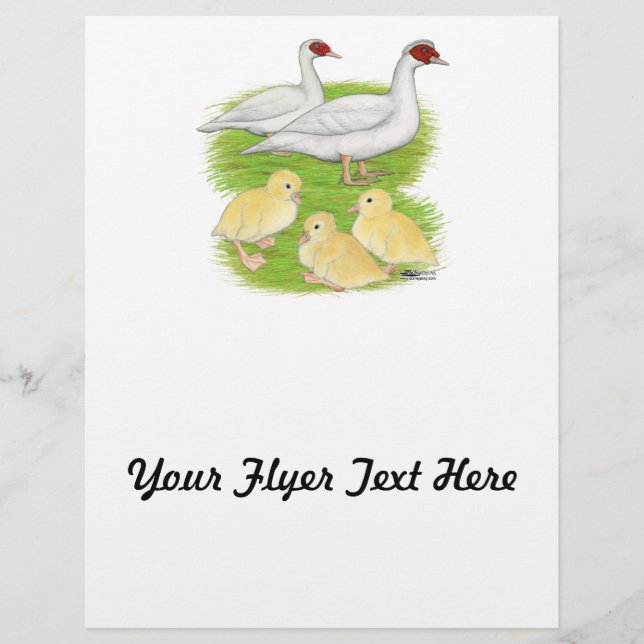 Ducks White Muscovy Family Flyer (Front)