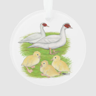 Ducks White Muscovy Family Ornament