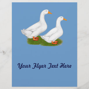 Ducks: White Pekins Flyer