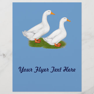 Ducks:  White Pekins Flyer