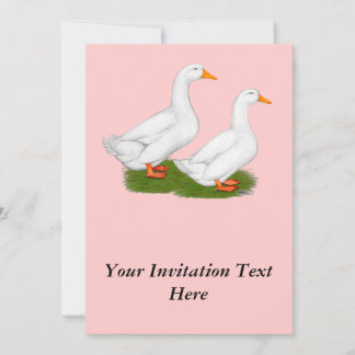 Ducks: White Pekins Invitation