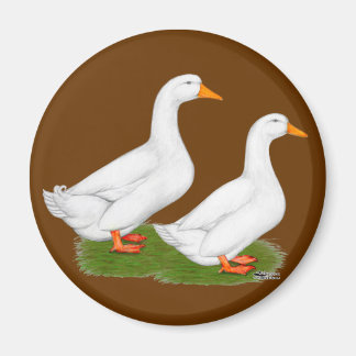 Ducks:  White Pekins Magnet