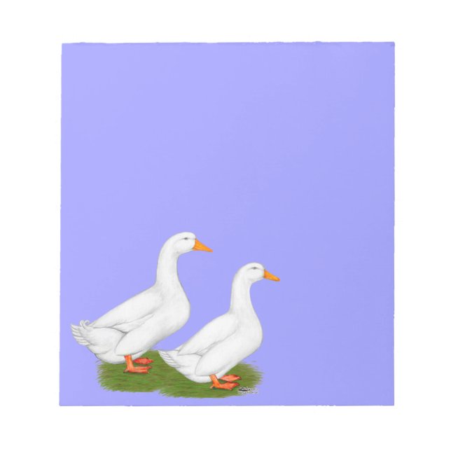 Ducks:  White Pekins Notepad (Front)