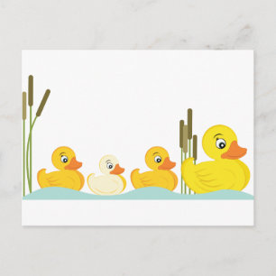 Ducky Family Postcard
