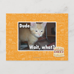 Dude Postcard