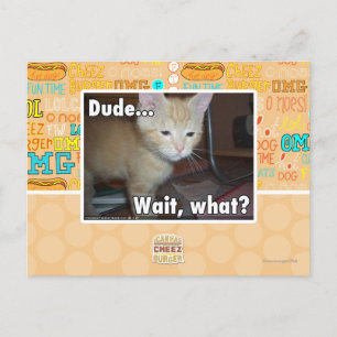 Dude Postcard