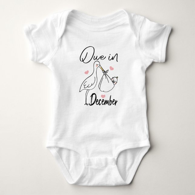 Due In December Cute Swan Carrying A Funny New Bab Baby Bodysuit (Front)