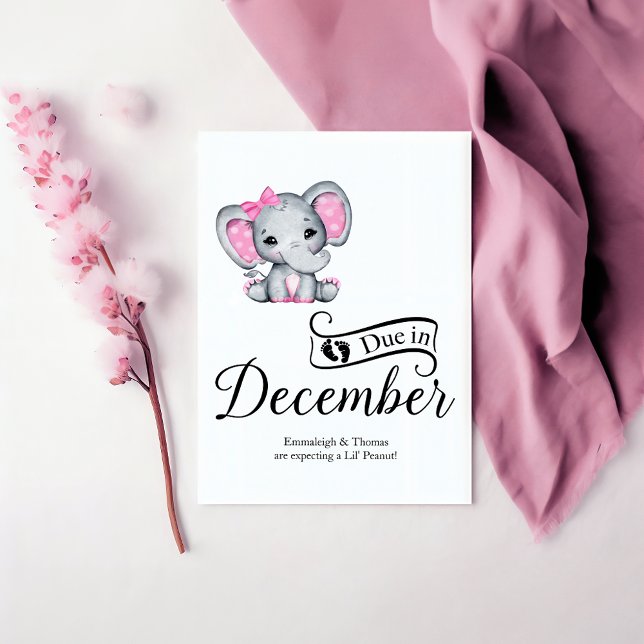 Due in December Little Peanut Baby Girl Elephant Postcard (Creator Uploaded)