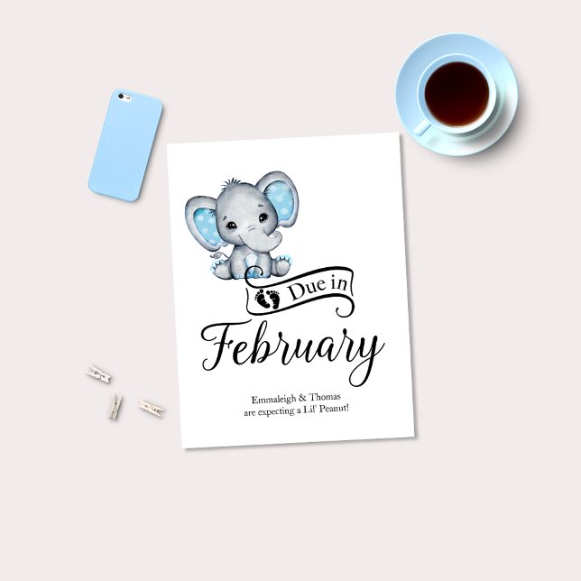 Due in February Little Peanut Baby Boy Elephant Postcard (Creator Uploaded)