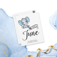 Due in June Little Peanut Baby Boy Elephant