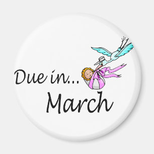 Due In March (Baby/Stork) Magnet