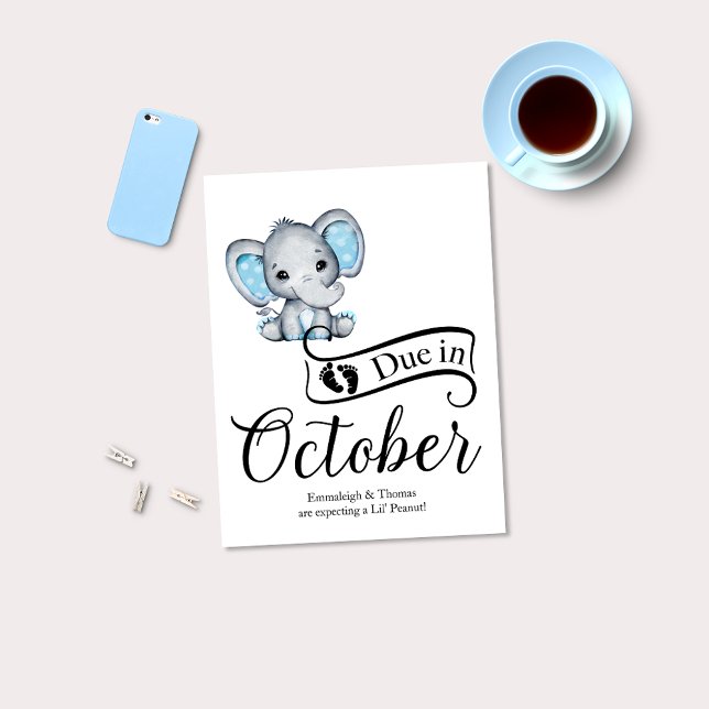 Due in October Little Peanut Baby Boy Elephant Postcard (Creator Uploaded)
