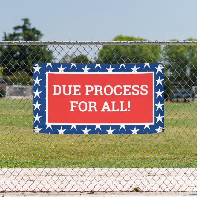 DUE PROCESS FOR ALL! Banner (Insitu)