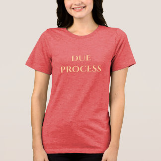 DUE PROCESS  Tri-Blend SHIRT