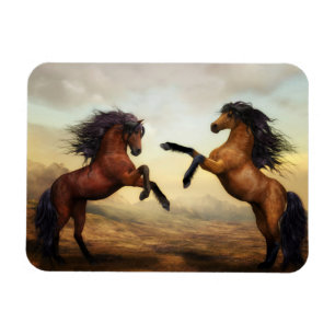 Duelling Stallions Painting Magnet