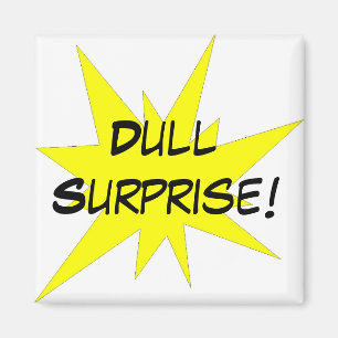 Dull Surprise! Magnet
