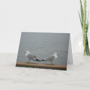 "Duluth Seagulls" Thank You Card