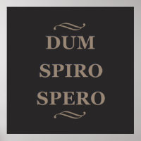 Dum spiro spero