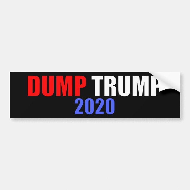 Dump Trump 2020 Anti-Trump Bumper Sticker (Front)
