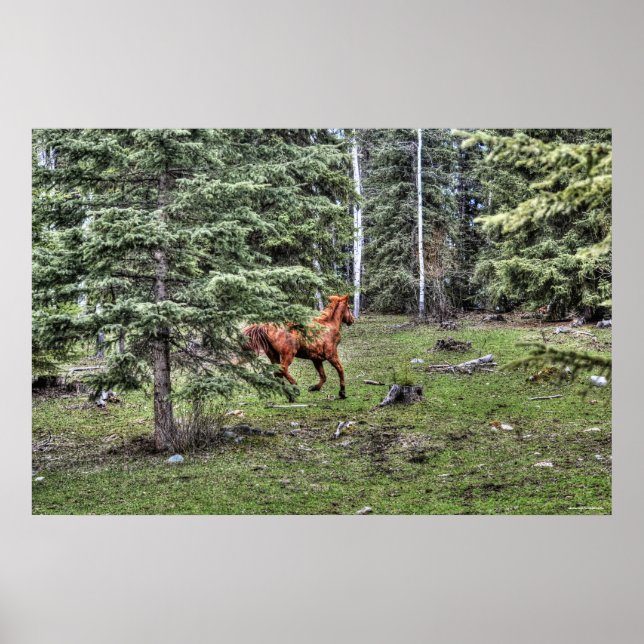 Dun Ranch Horse Cantering in Forest Equine Photo Poster (Front)