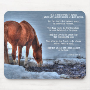 Dun Ranch Horse Drinking at Pool Equine Photo Mouse Pad