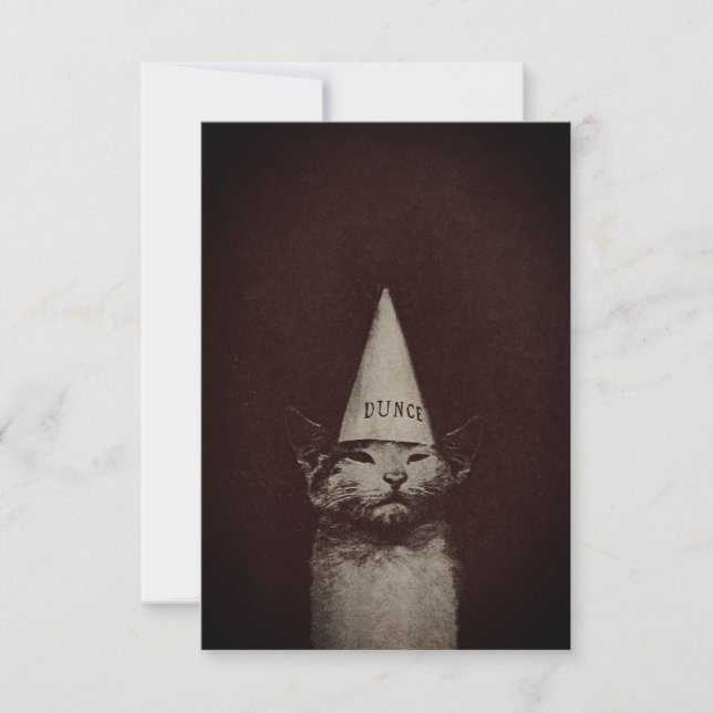 Dunce Cat - Invitations / RSVP (Front)