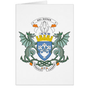 Dundee Coat Of Arms