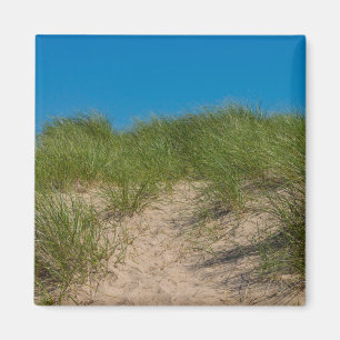 Dune And Oats Magnet