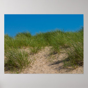 Dune And Oats Poster