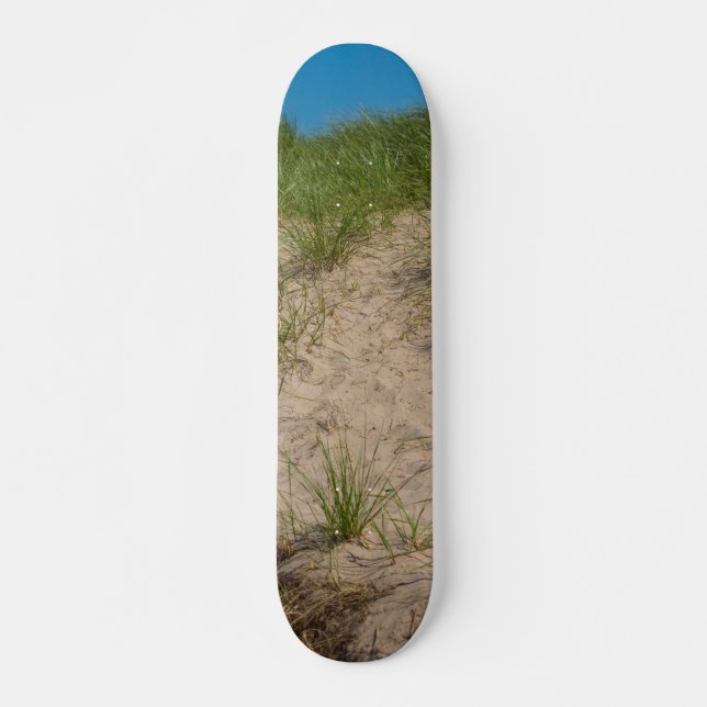 Dune Of Sea Oats Skateboard (Front)