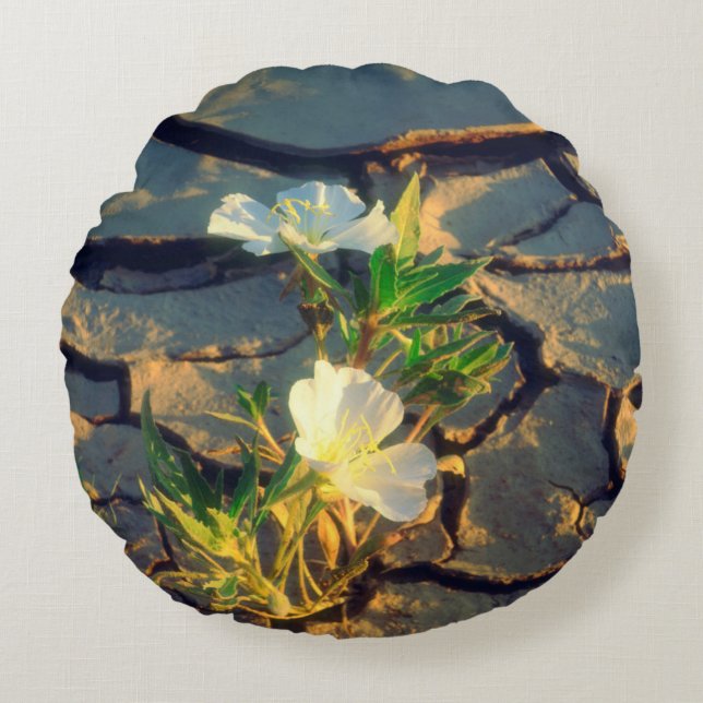 Dune Primrose growing out of Cracked Mud Round Cushion (Front)