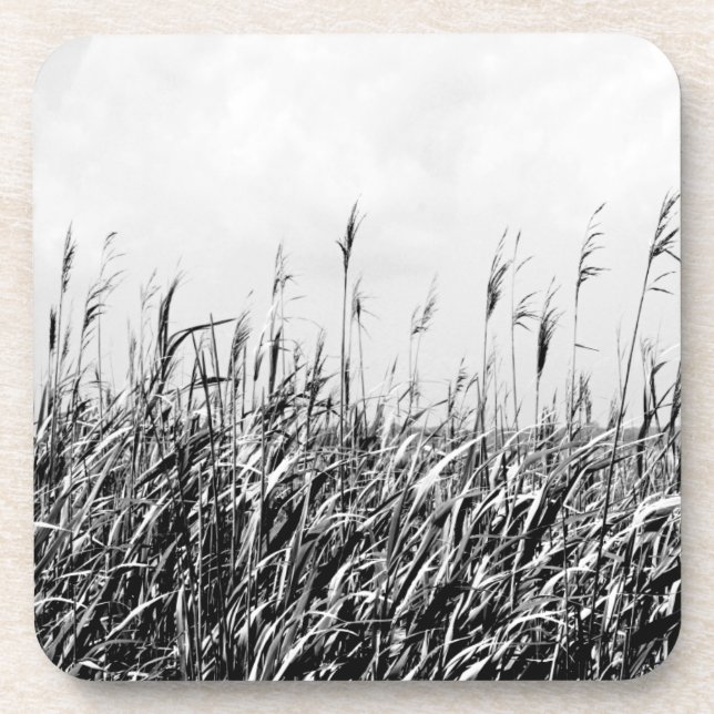 Dune Triptych III Coaster (Front)