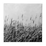 Dune Triptych III Tile<br><div class="desc">Home Décor</div>