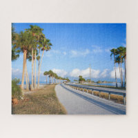 Dunedin Causeway, connected to honeymoon island.