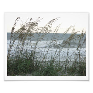 Dunegrass Photo Print