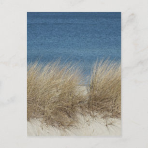 dünen postcard