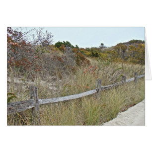 Dunes and Fence Island Beach State Park