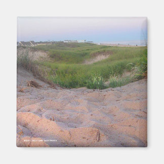 Dunes in Montauk Magnet