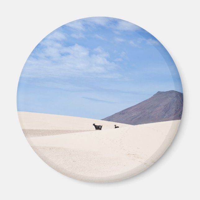 Dunes of Corralejo, Fuerteventura, Canary islands Magnet (Front)