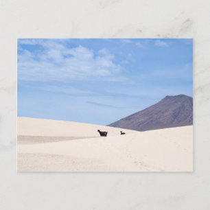 Dunes of Corralejo, Fuerteventura, Canary islands, Postcard
