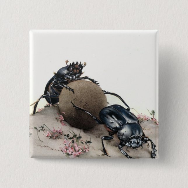 Dung Bettle 15 Cm Square Badge (Front)