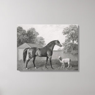 Dungannon, engraved by George Townley Stubbs (1756 Canvas Print