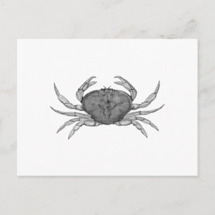 Dungeness Crab Logo (line art) Postcard