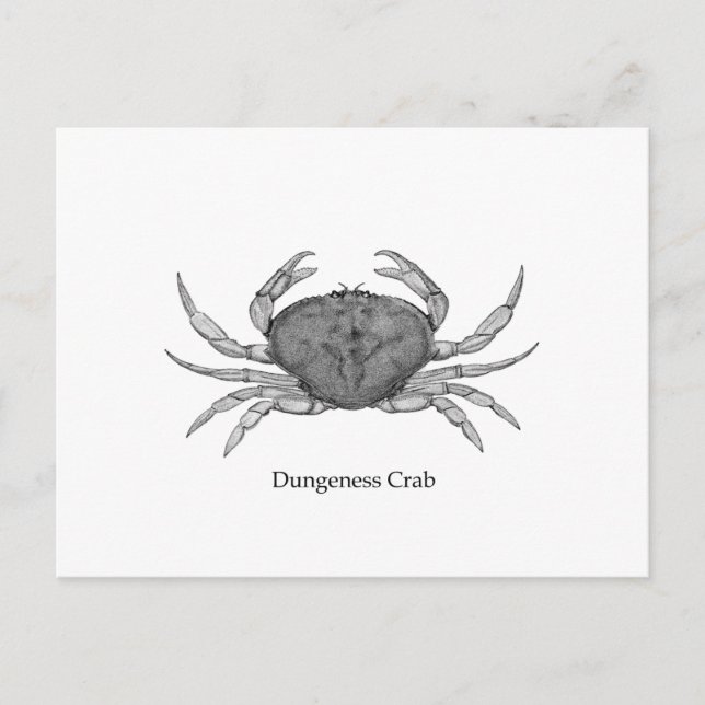 Dungeness Crab Logo (line art) Postcard (Front)