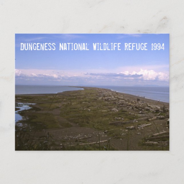 Dungeness National Wildlife Refuge Postcard (Front)