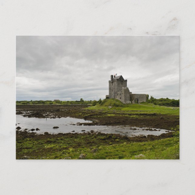 Dunguaire castle, Ireland postcard (Front)