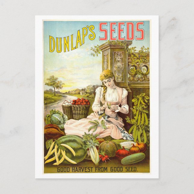 Dunlap's Vintage Vegetable Seed Advertisement Postcard (Front)