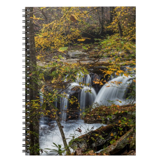Dunloup Creek Falls | West Virginia Notebook (Front)